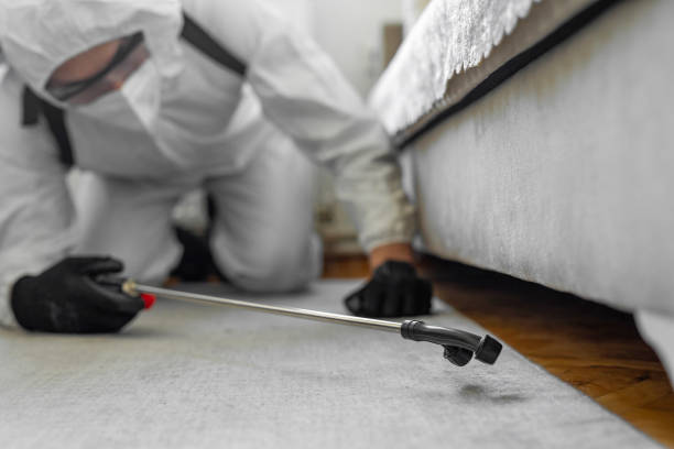 Professional Mosquito Control technician working in Jasper County County, SC
